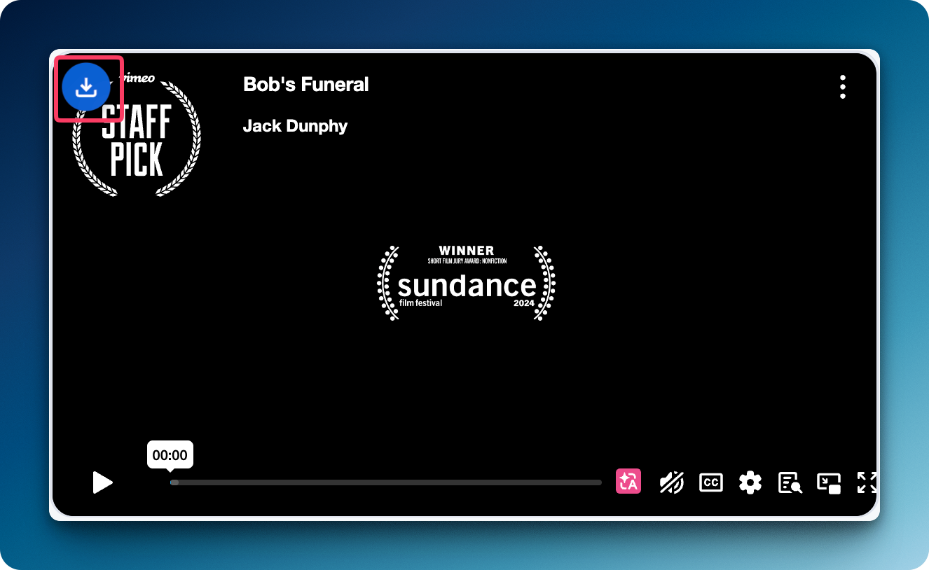 Video overlay